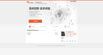 国泰安电子商务教学软件